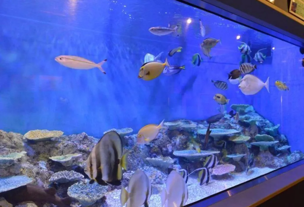 Hotel Takeshima-1