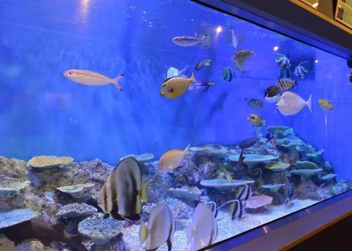 Hotel Takeshima 蒲郡市